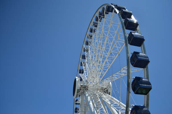 Navy Pier Attractions and Rides