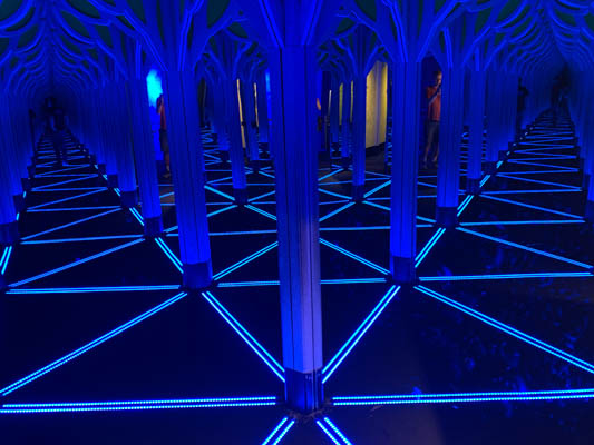 Numbers in Nature (Mirror Maze)